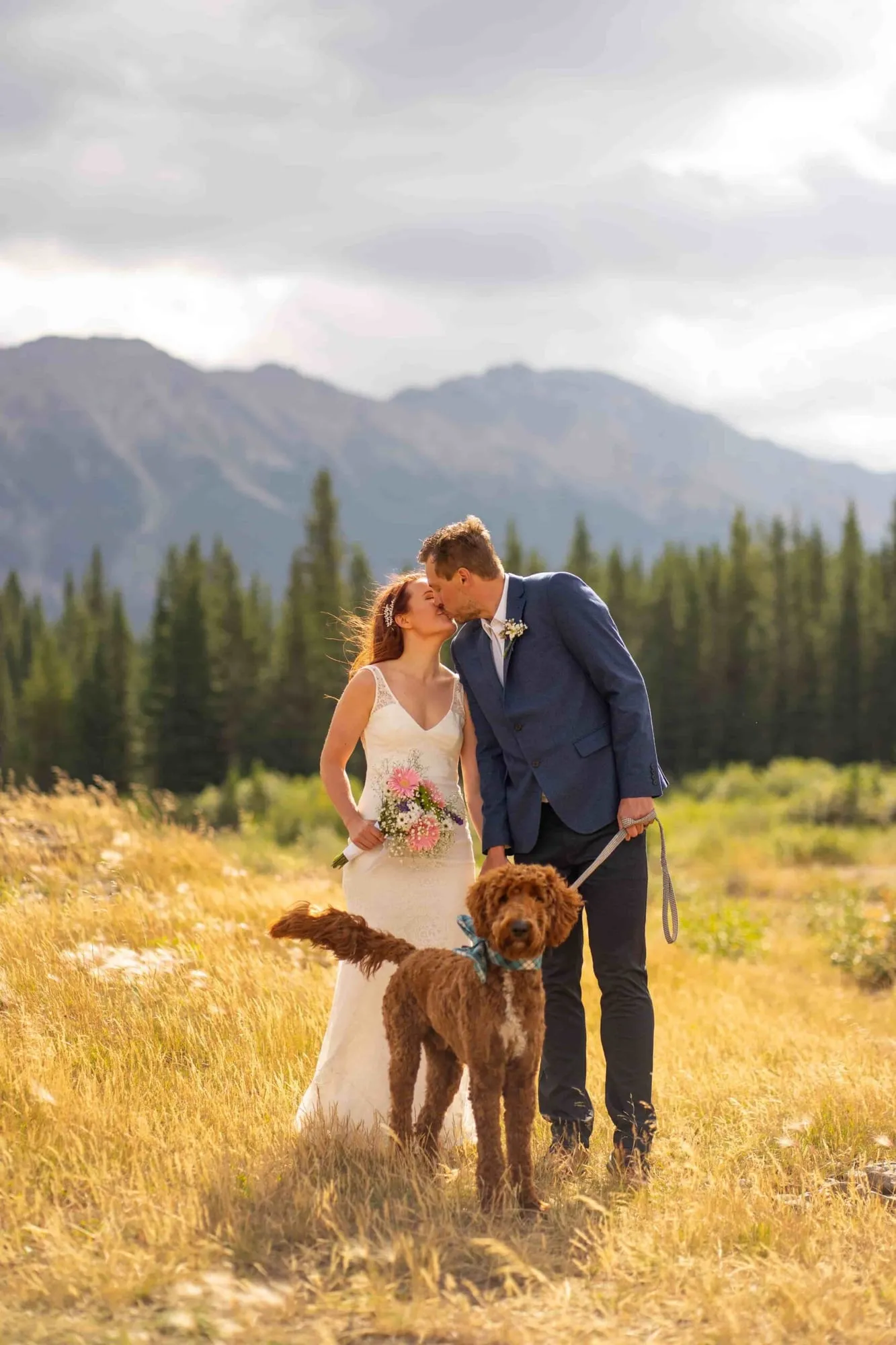 Newlyweds kissing in a golden mountain meadow, their dog at their feet